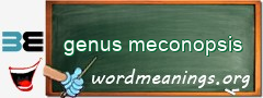 WordMeaning blackboard for genus meconopsis